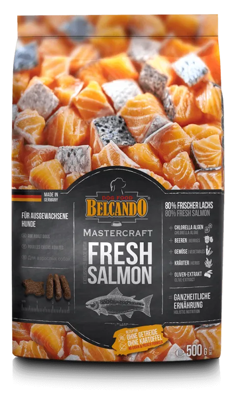 MASTERCRAFT Fresh Salmon 500g