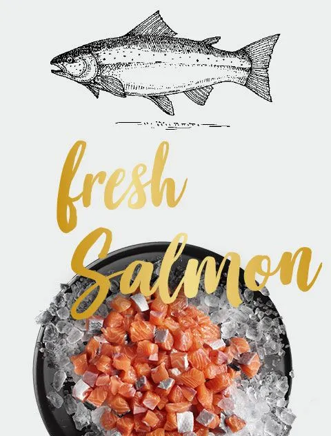 Leonardo fresh Salmon&Poultry 4kg