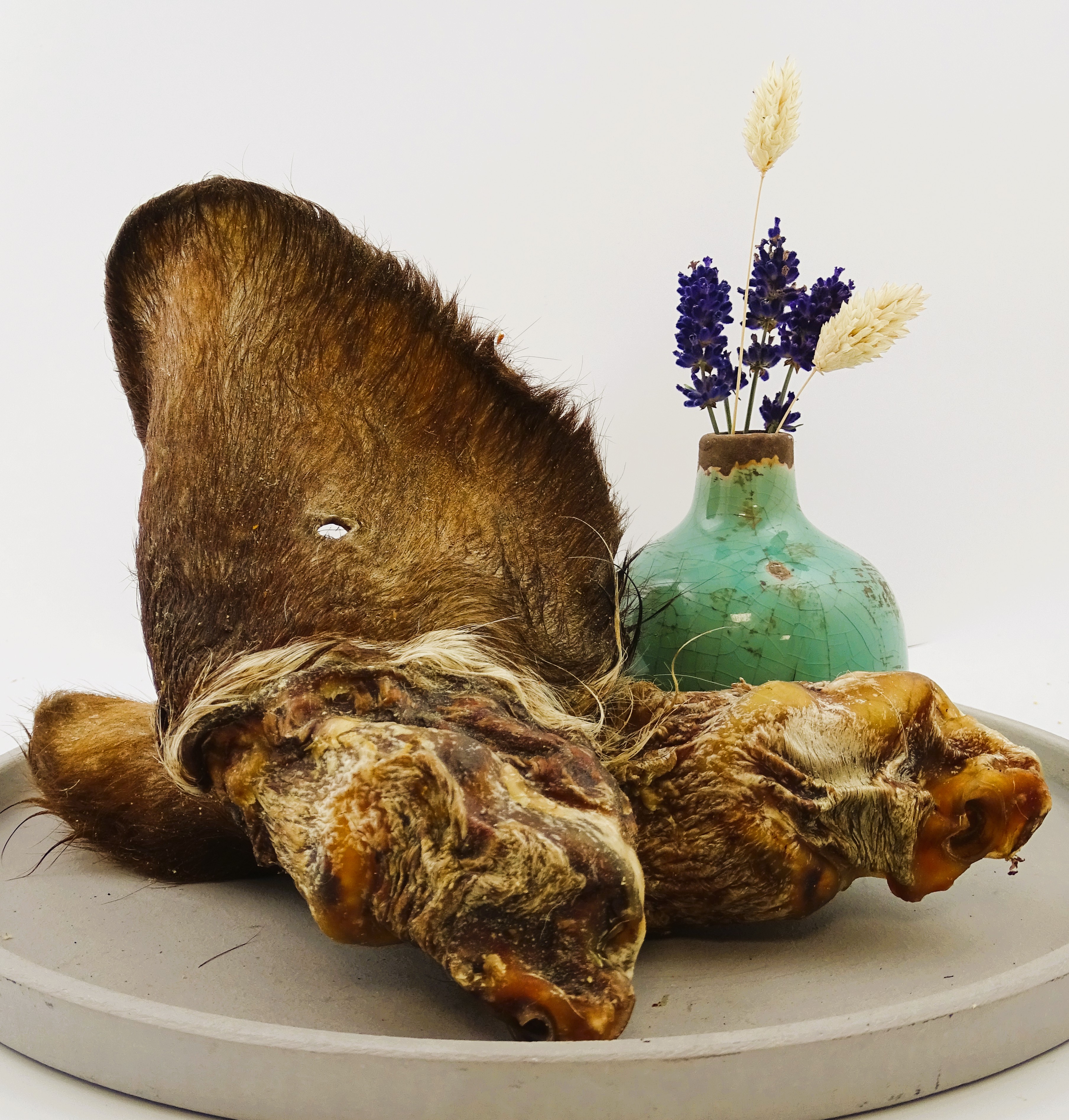 Rinderohr XXL m. Fell